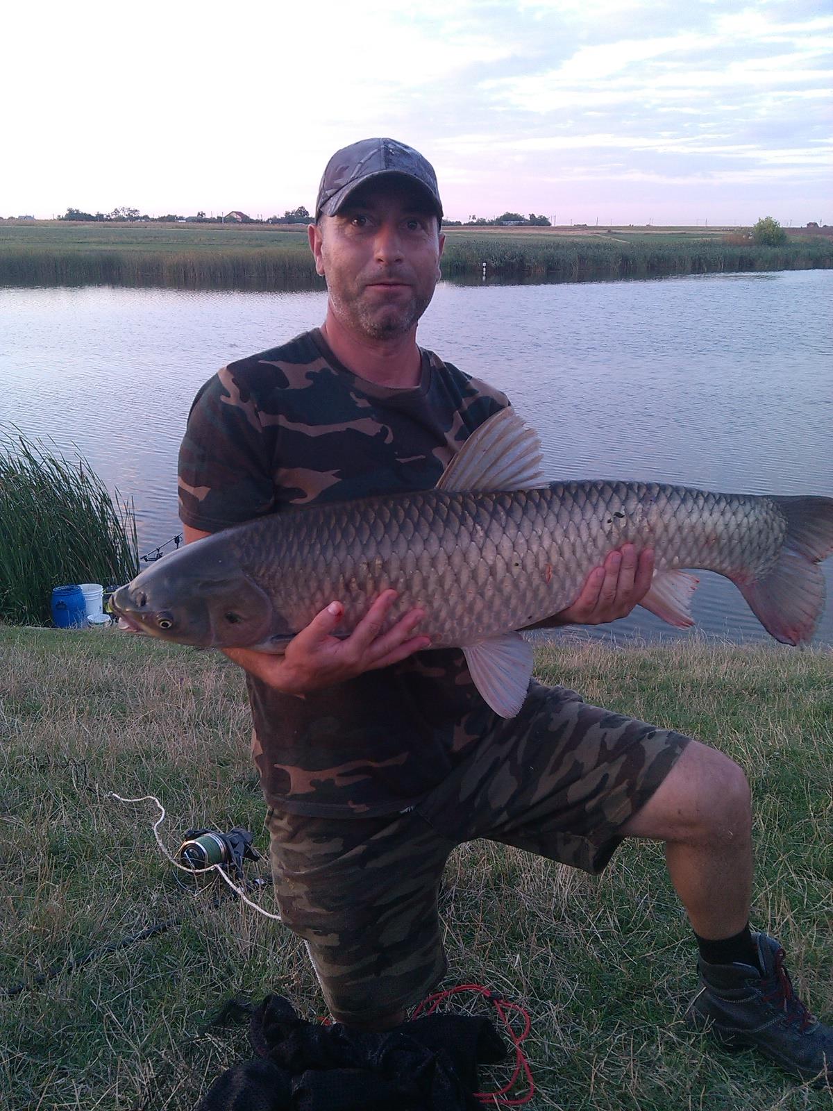 Pescuit- Balta Blejesti Sericu -sezon 2016 - TEN 12 KG